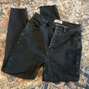 Free People We the Free Curvy Button Fly Jeans